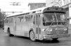 Metro Transit [Winnipeg] 191 (1962 GM TDH5301) (Peter Cox)