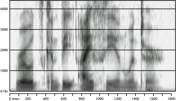 Mystery Spectrogram from January 2004