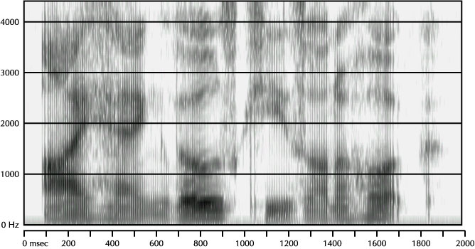 Mystery Spectrogram from February 2004