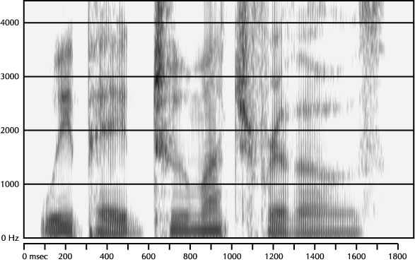 Mystery Spectrogram from July 2004