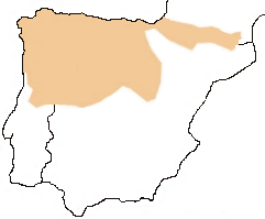Range of the Iberian desman