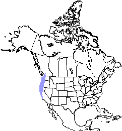 Range of the American 
	shrew-mole