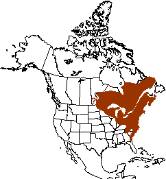 Range of the star-nosed mole