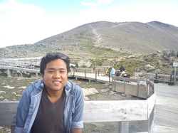 Picture