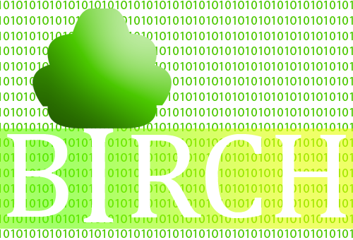 birch - 