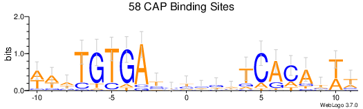 CAP Binding Site Logo