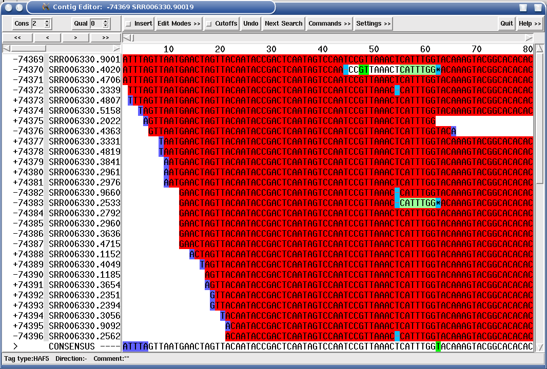 HAF5 tags (reads shown with red background) covering a contig end show repetitiveness as reason for stopping a contig build.