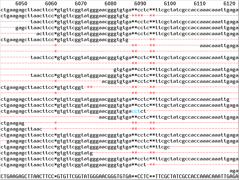 Multiple alignment of PacBio elastic dark inserts with automatic editing