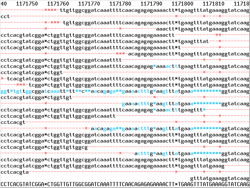 Assembly with PacBio dark inserts, example where elastic correction failed partially