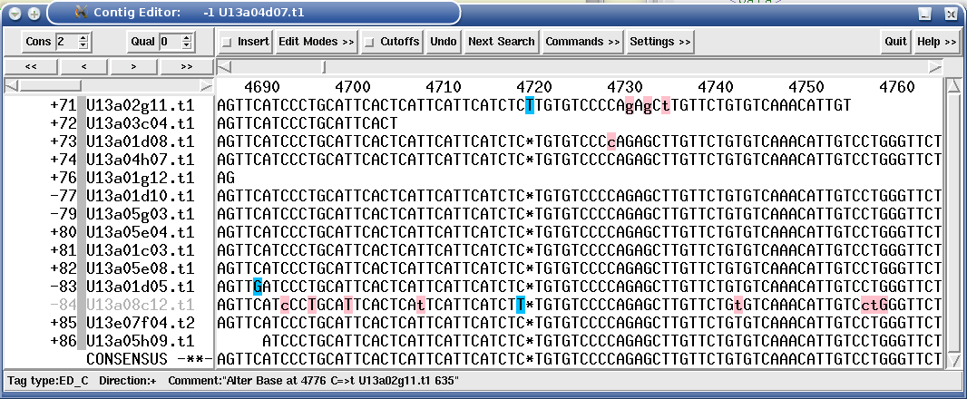 Sanger assembly with EdIt automatic editing routines. Bases with pink background are corrections made by EdIt after assessing the underlying trace files (SCF files in this case). Bases with blue background are base calling errors where the evidence in the trace files did not show enough evidence to allow an editing correction.