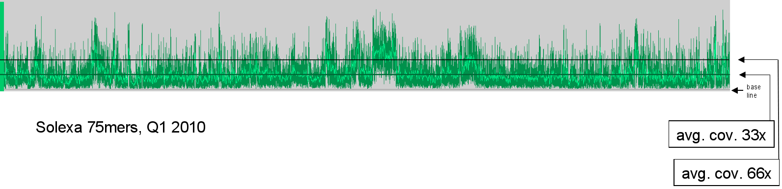 Example for GC coverage bias starting Q3 2009 in Solexa data. There's no smile shape anymore -- the people in the lab learned to pay attention to sample in 100% stationary phase -- but something else is extremely disconcerting: the average coverage is at 33x, and when looking at potential genome duplications at twice the coverage (66x), there are several dozen peaks crossing the 66x threshold over a several kilobases (in one case over 200 Kb) all over the genome. As if several small genome duplications happened.