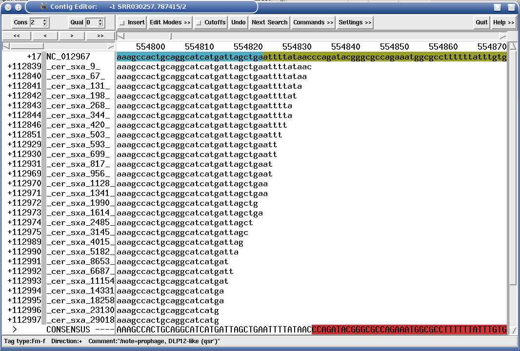 "MCVc" tag (Missing CoVerage in Consenus, dark red stretch in figure) showing a genome deletion in Solexa mapping assembly.