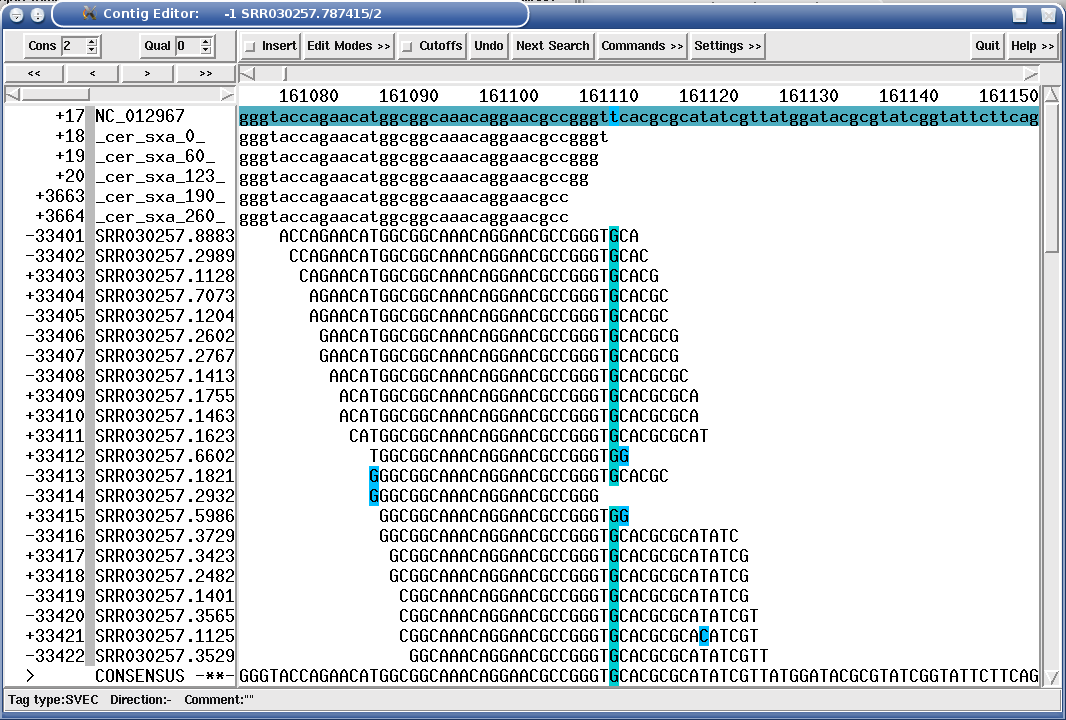 "SROc" tag showing a SNP position in a Solexa mapping assembly.