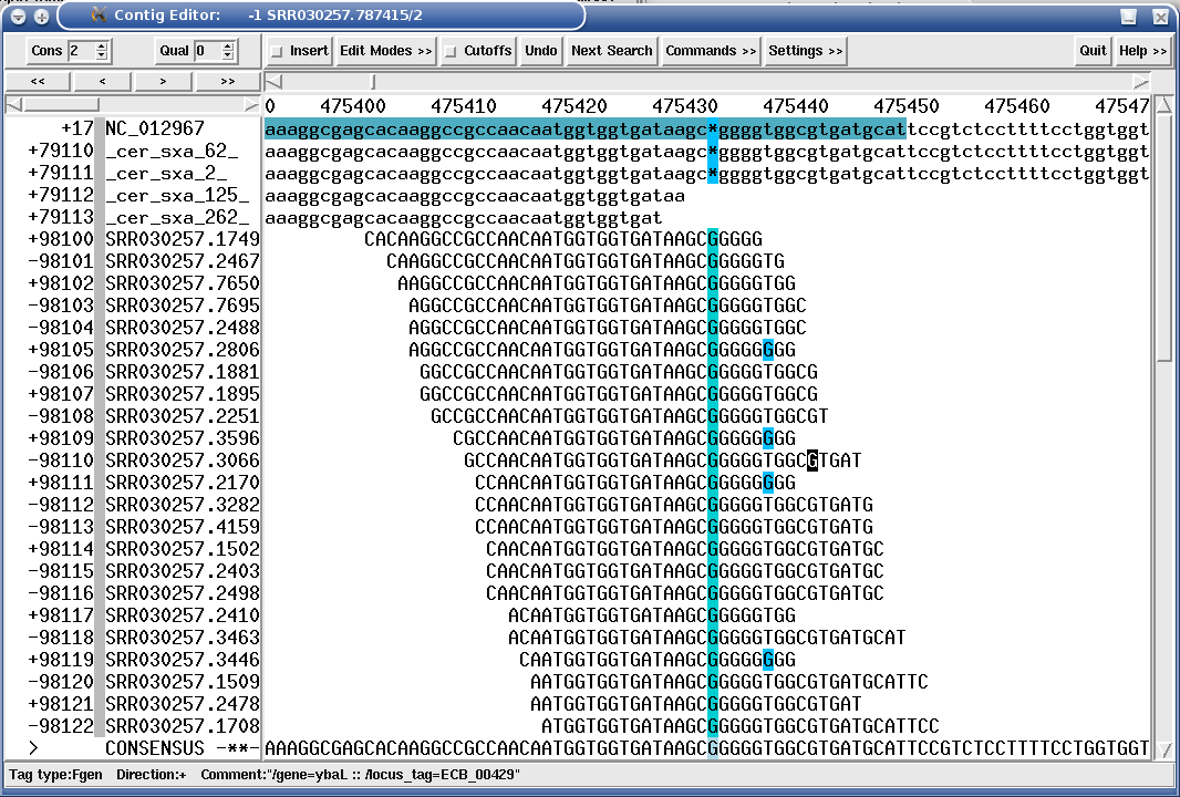 "SROc" tag (Snp inteR Organism on Consensus) showing a SNP position in a Solexa mapping assembly.