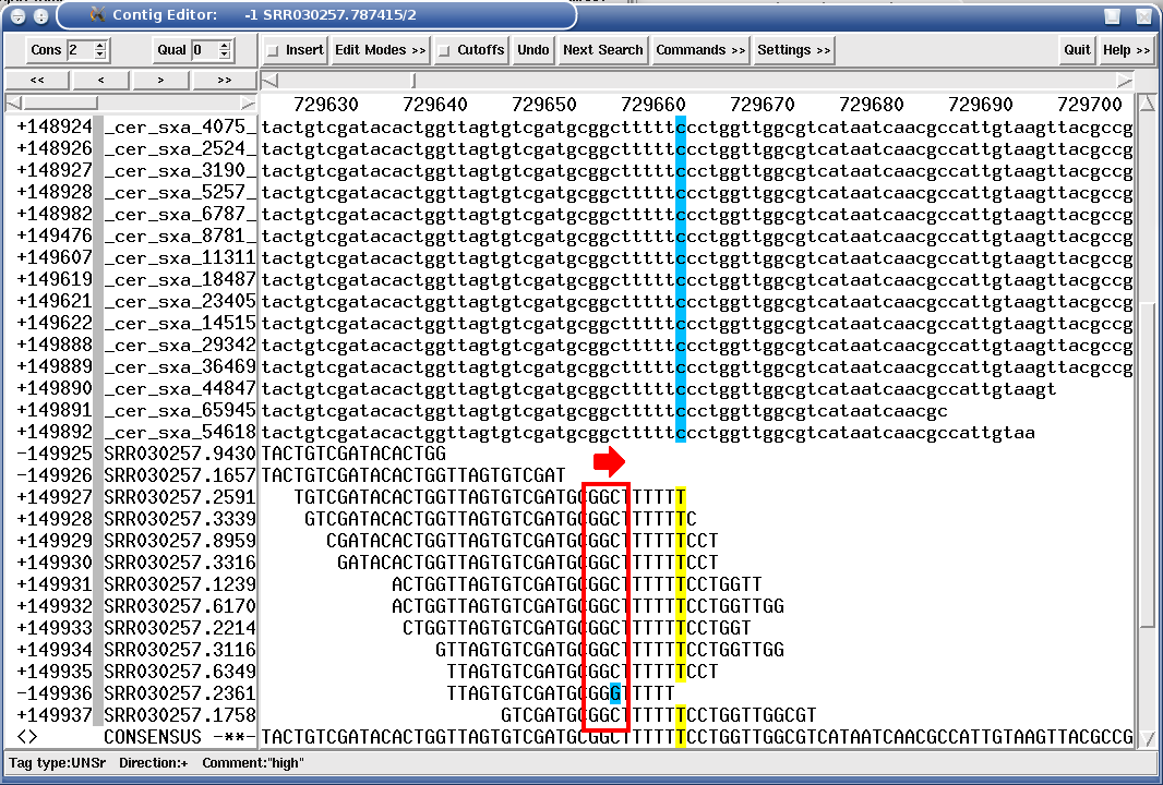 The Solexa GGC problem, forward example