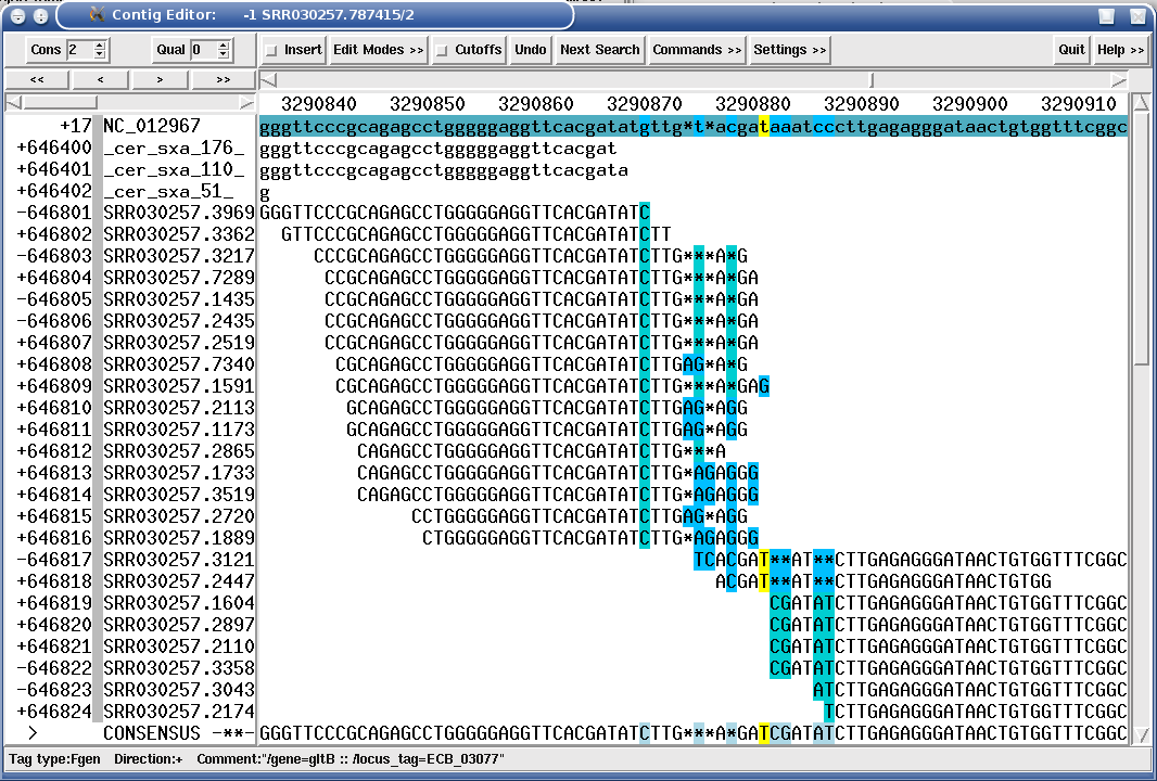 A 16 base pair deletion leading to a SROc/UNsC xmas-tree