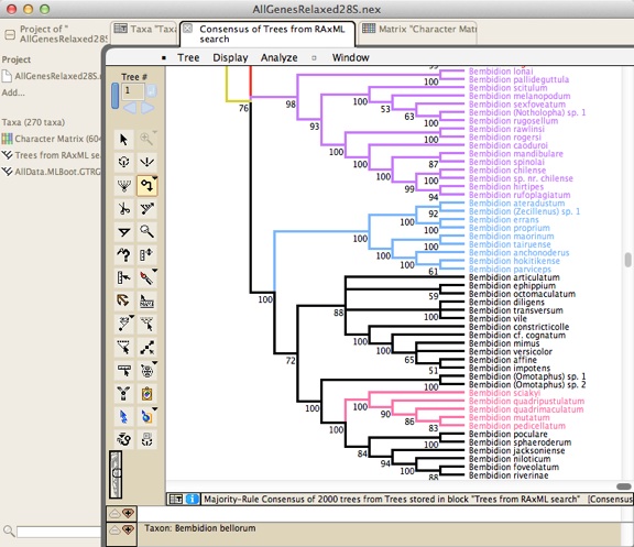 BootstrapTree.jpg BootstrapTree.jpg