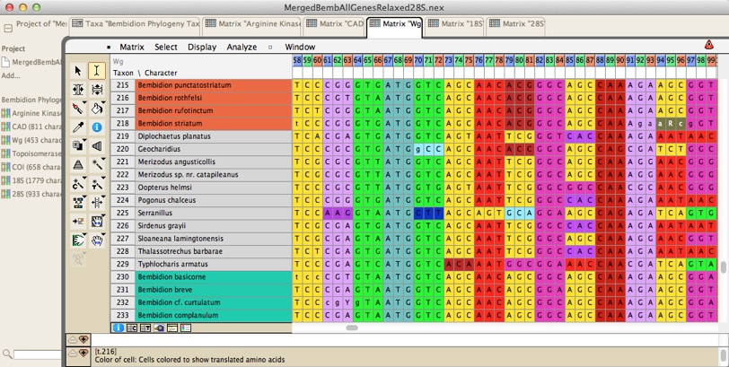 DNASequences.jpg DNASequences.jpg