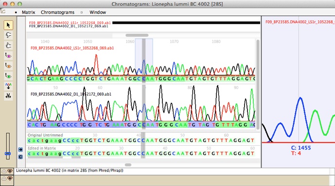 chromaseq.jpg chromaseq.jpg