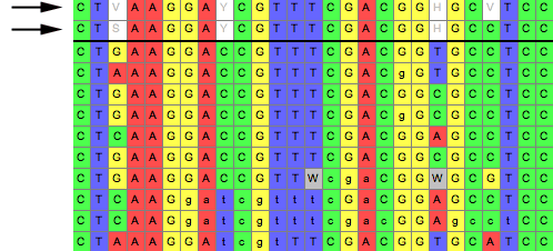 consensus.gif consensus.gif