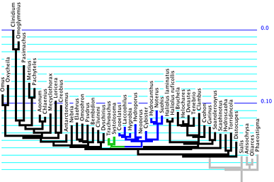 tdtree.gif tdtree.gif