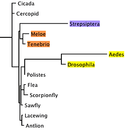 modelTreePlain.gif