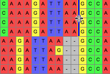 multiSplitBefore.gif