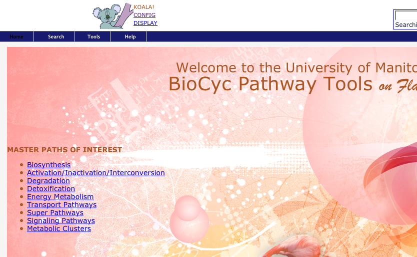 Flamingo Biocyc Pathway Tools Homepage w/Koala installed