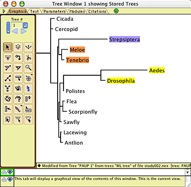 modelTree.gif