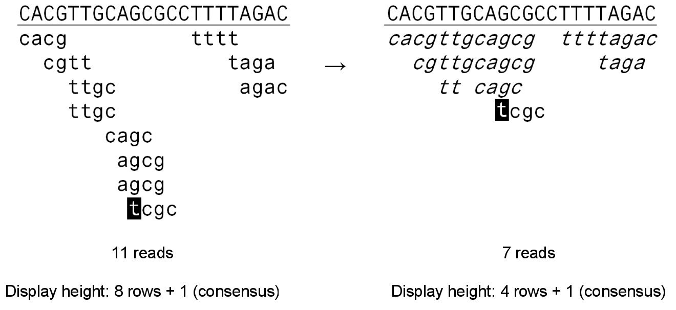 Coverage equivalent reads (CERs) explained. Left side of the figure: a conventional mapping with eleven reads of size 4 against a consensus (in uppercase). The inversed base in the lowest read depicts a sequencing error. Right side of the figure: the same situation, but with coverage equivalent reads (CERs). Note that there are less reads, but no information is lost: the coverage of each reference base is equivalent to the left side of the figure and reads with differences to the reference are stil present.