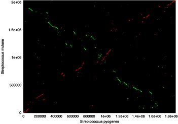 promer dot plot