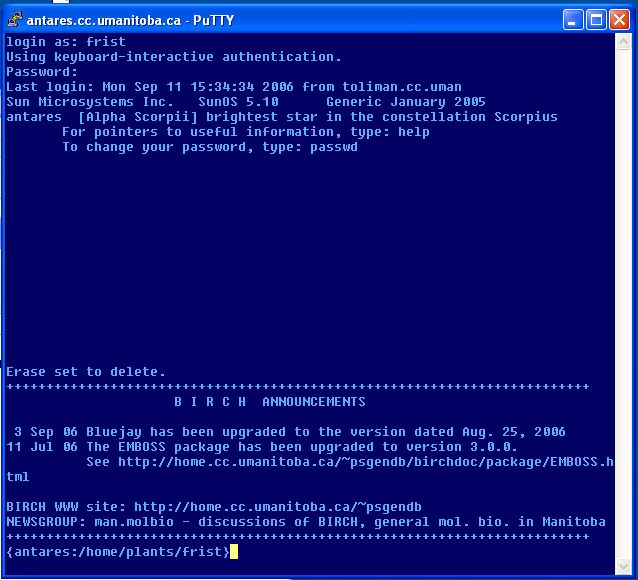 download putty ssh windows