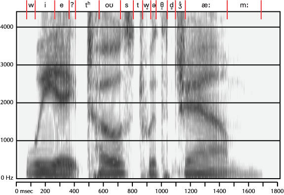 labelled spectrogram