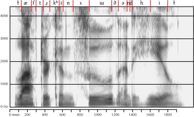 labeled spectrogram