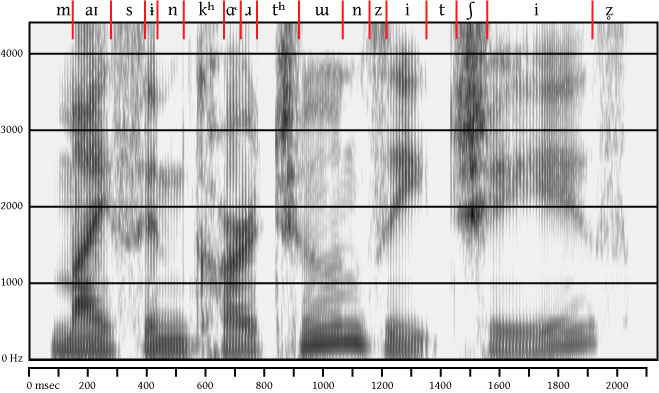 labeled spectrogram