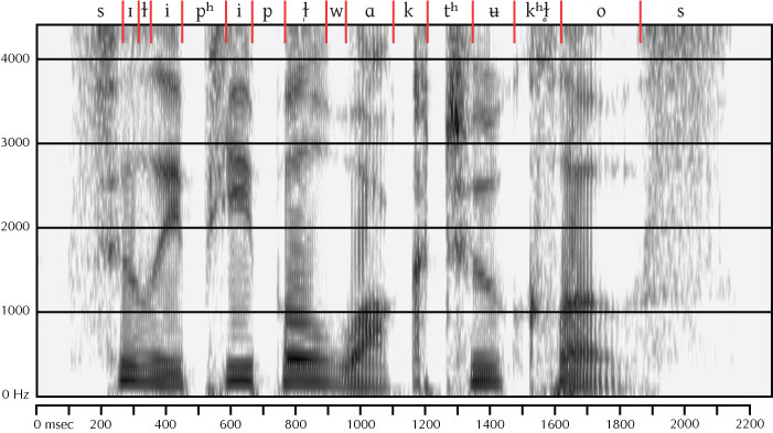 labeled spectrogram