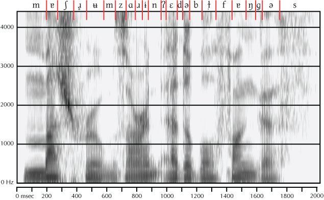 labeled spectrogram