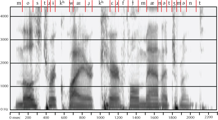 labeled spectrogram