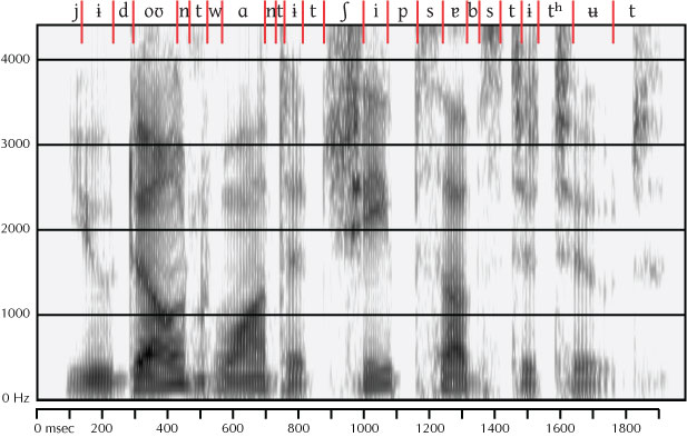 labeled spectrogram