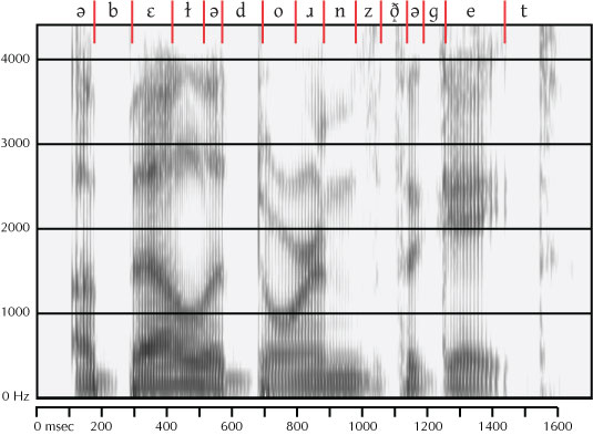 labeled spectrogram