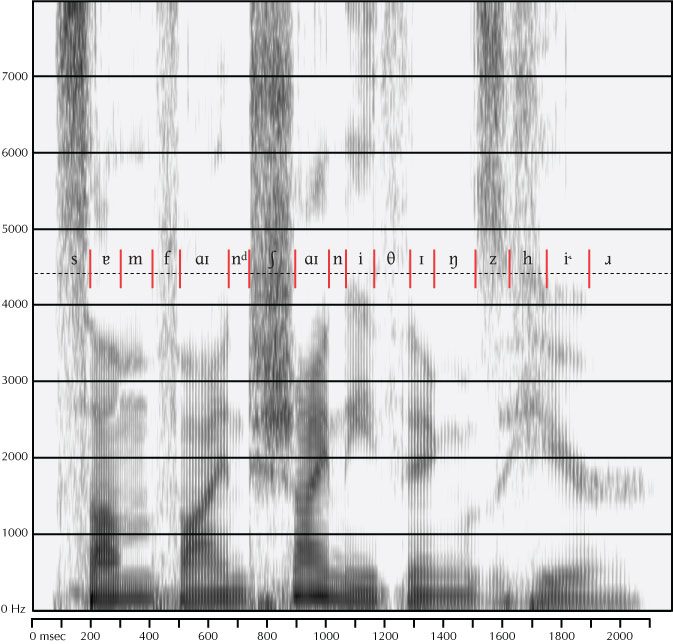 labeled spectrogram