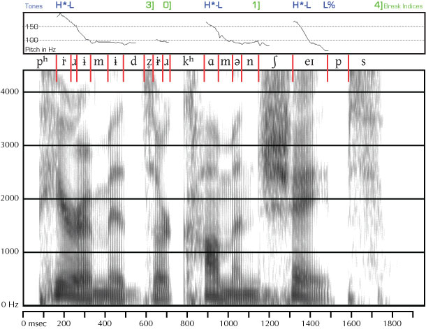 labeled spectrogram