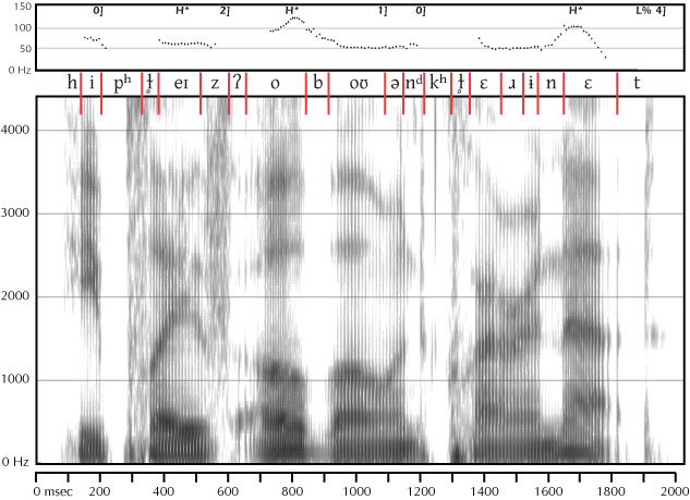 labeled spectrogram