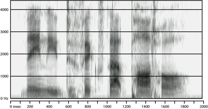 Mystery Spectrogram from April 2004