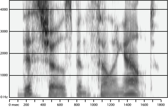 Mystery Spectrogram from August 2004
