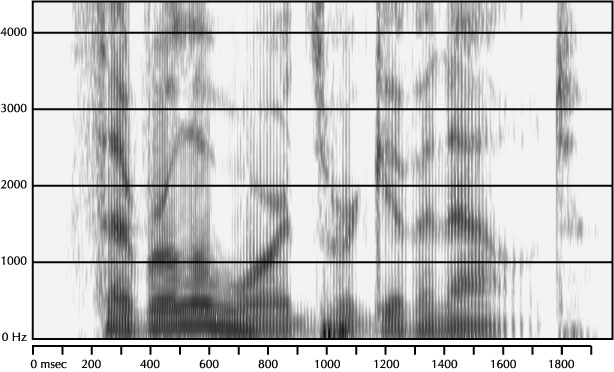 Mystery Spectrogram from November 2004