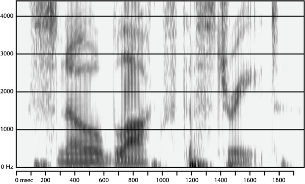 Mystery Spectrogram from December 2004