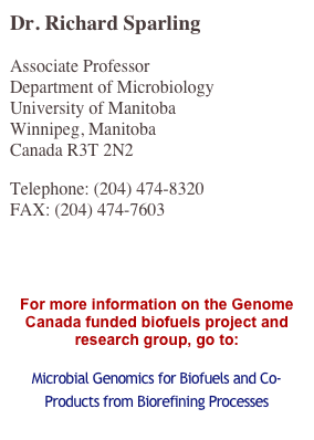 Dr. Richard Sparling
Associate Professor Department of Microbiology University of Manitoba Winnipeg, Manitoba Canada R3T 2N2
Telephone: (204) 474-8320 FAX: (204) 474-7603 E-mail: Richard_Sparling@umanitoba.ca

For more information on the Genome Canada funded biofuels project and research group, go to:

Microbial Genomics for Biofuels and Co-Products from Biorefining Processes
http://www.microbialrefinery.com/