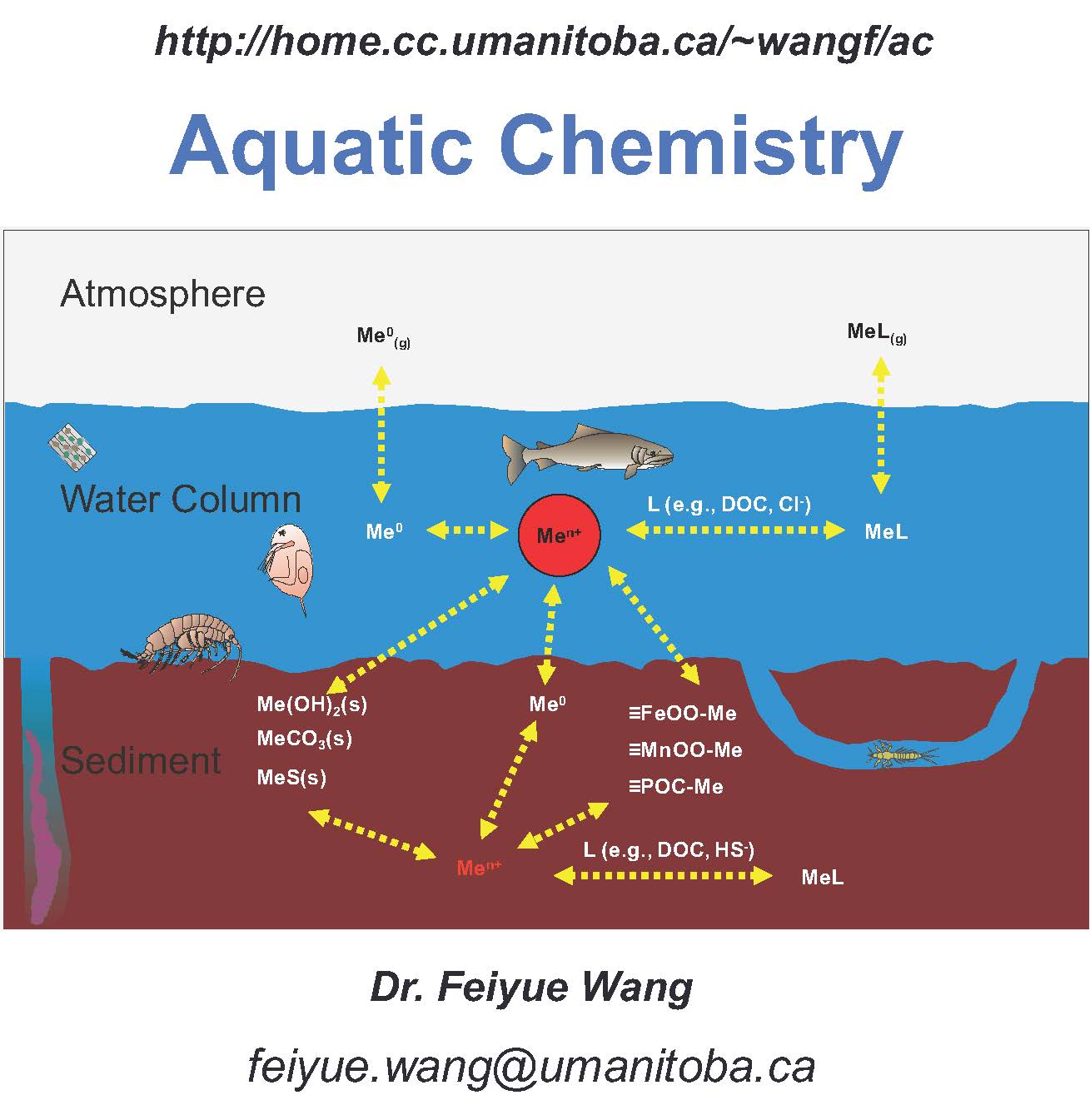stumm and morgan aquatic chemistry pdf