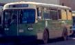Brandon Orion buses 1986 (Alex Regiec)